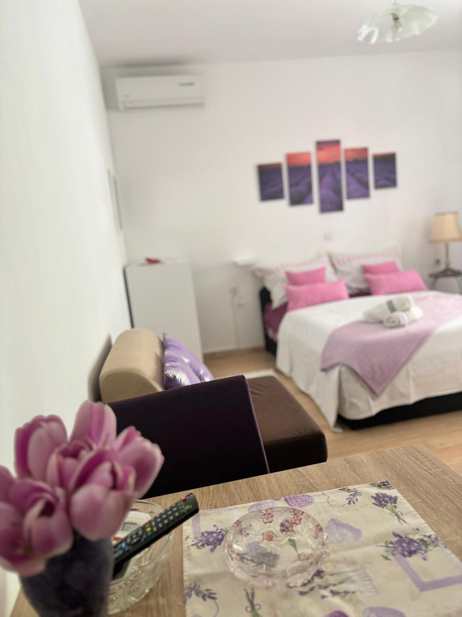 Apartments Ivana Bibinje Luaran gambar