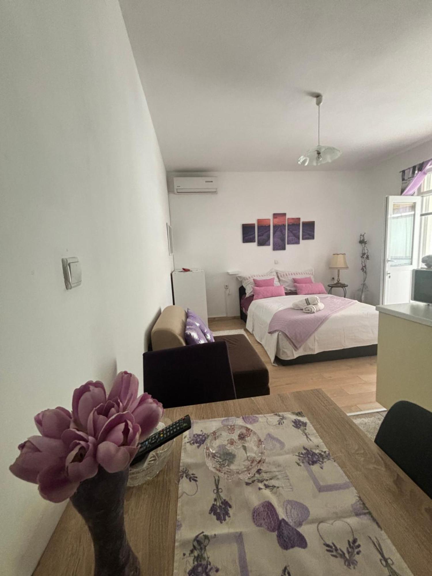 Apartments Ivana Bibinje Luaran gambar